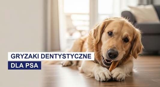 Gryzaki dentystyczne dla psa: jak wybrać i czego unikać
