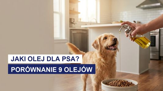 Jaki olej dla psa? Porównanie 9 olejów i który wybrać