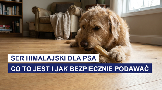Ser himalajski dla psa: co to jest i jak bezpiecznie podawać
