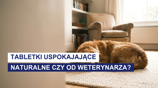 Tabletki uspokajające dla psa: naturalne czy od weterynarza?