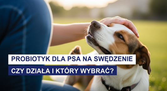 Probiotyk dla psa na swędzenie: czy działa i który wybrać?