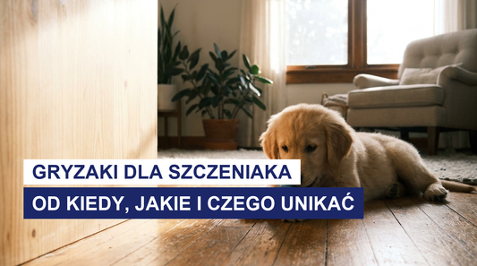 Gryzaki dla szczeniaka: od kiedy, jakie i czego unikać