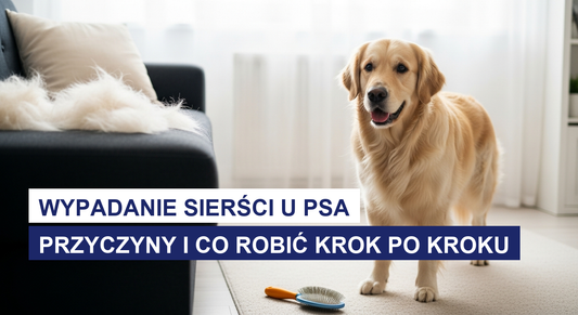 Wypadanie sierści u psa: przyczyny i co robić krok po kroku