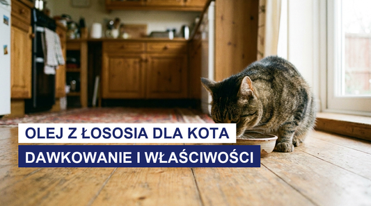 Olej z łososia dla kota: dawkowanie i właściwości