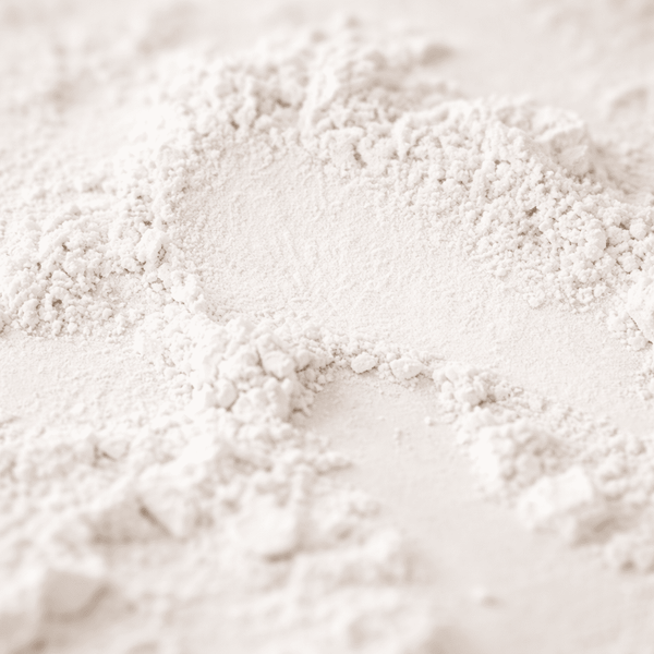Lactobacillus-Helveticus