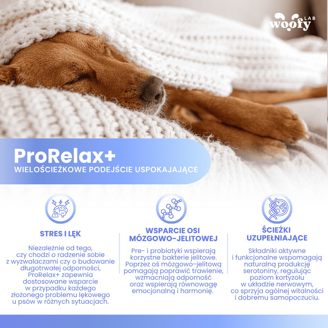 ProRelax-korzysci