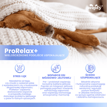 ProRelax-korzysci