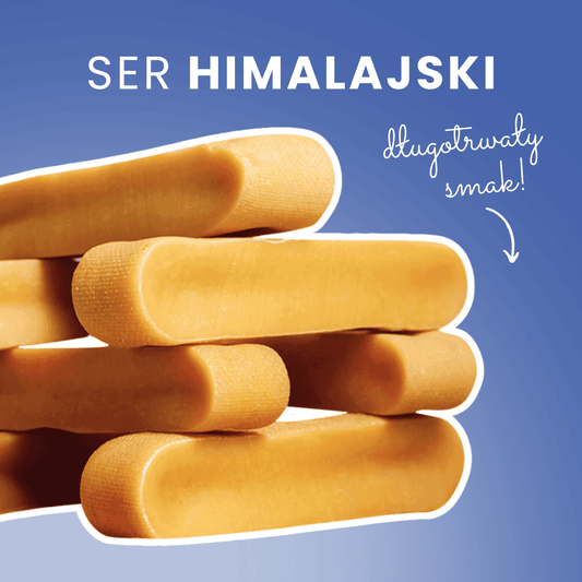 Ser-Himalajski-Zucie-i-relaks