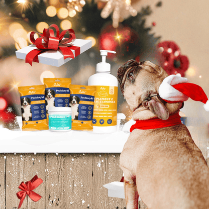 🎁🎄 Oferta Świąteczna - WoofyLab