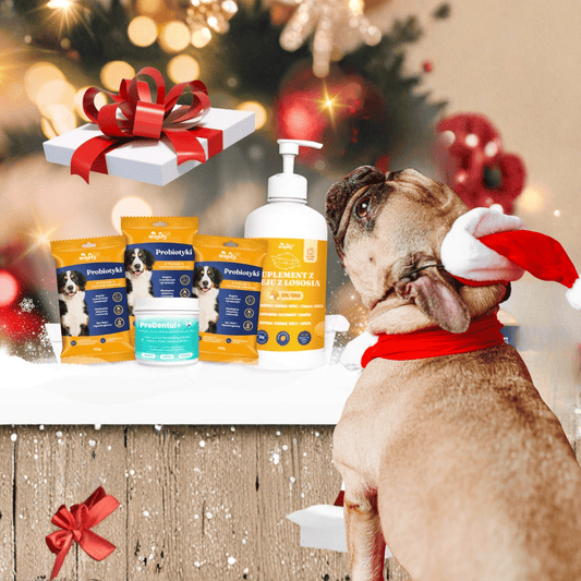 🎁🎄 Oferta Świąteczna - WoofyLab