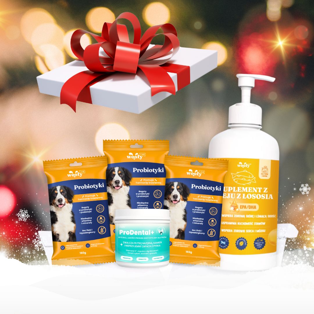 🎁🎄 Oferta Świąteczna - WoofyLab