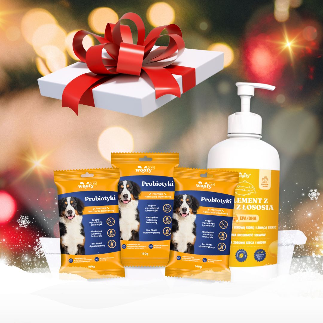 🎁🎄 Oferta Świąteczna - WoofyLab