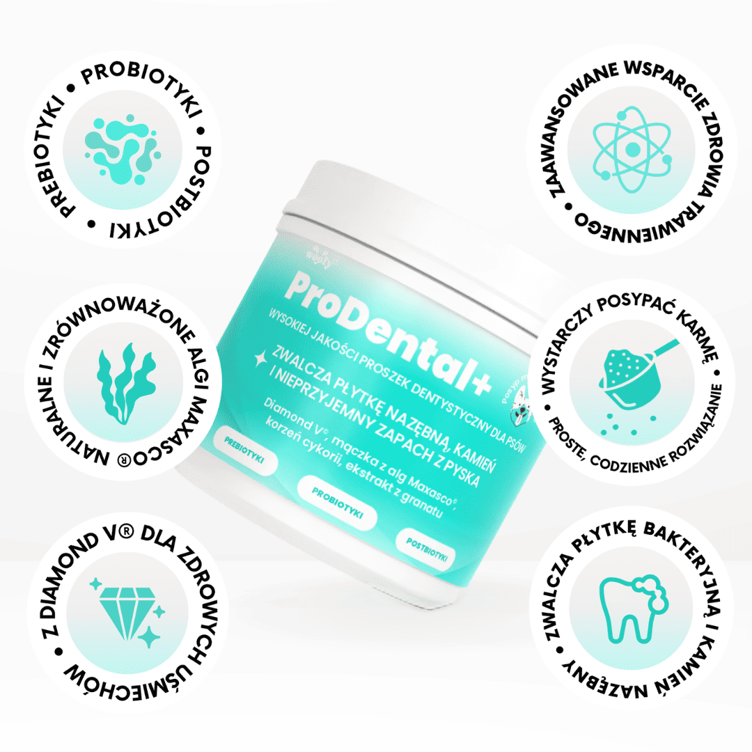 Woofylab-proszek-dentystyczny