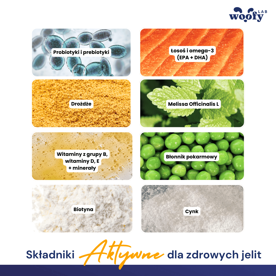 aktywny-skladnik-przekaski-z-probiotykami-woofy