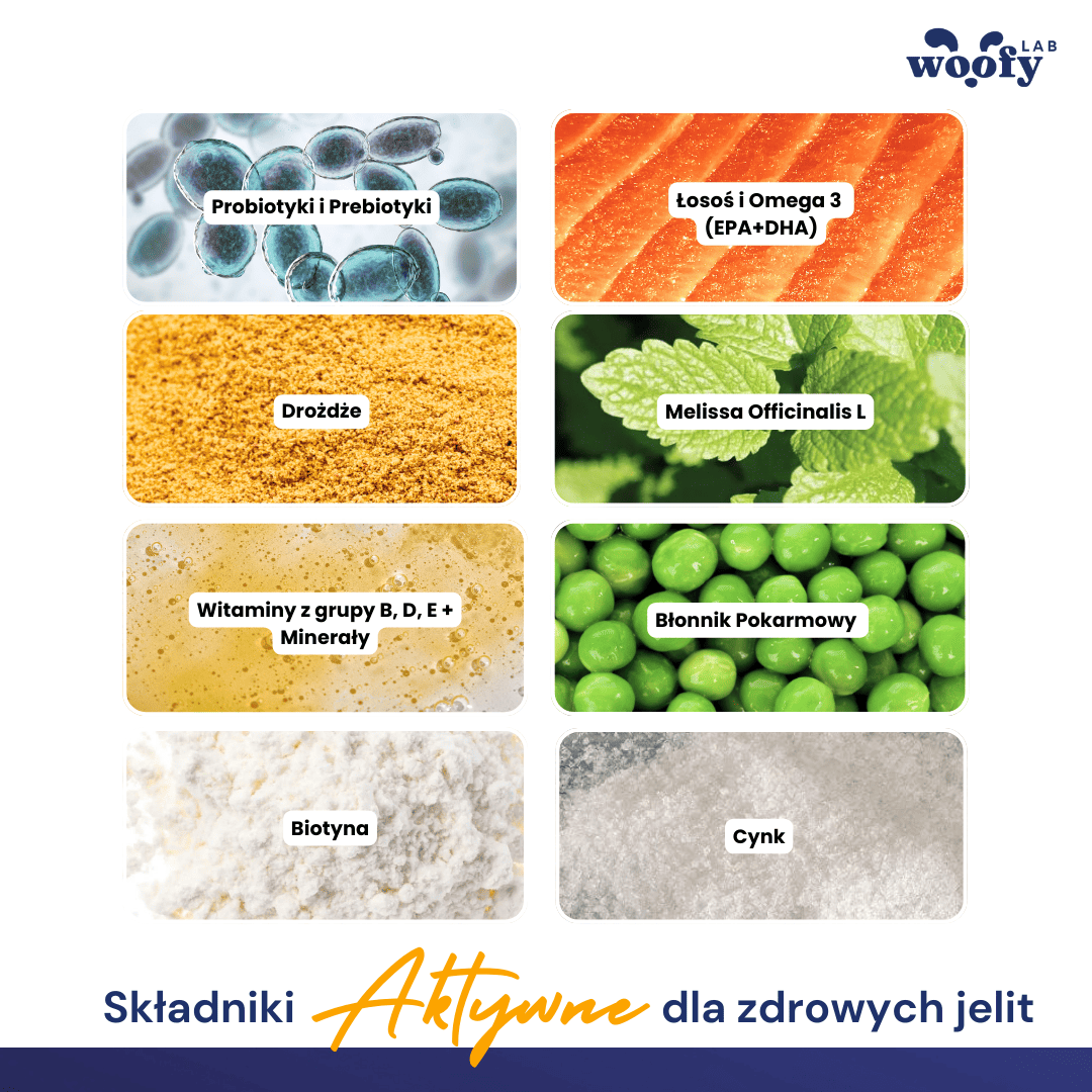 aktywny-skladnik-przekaski-z-probiotykami