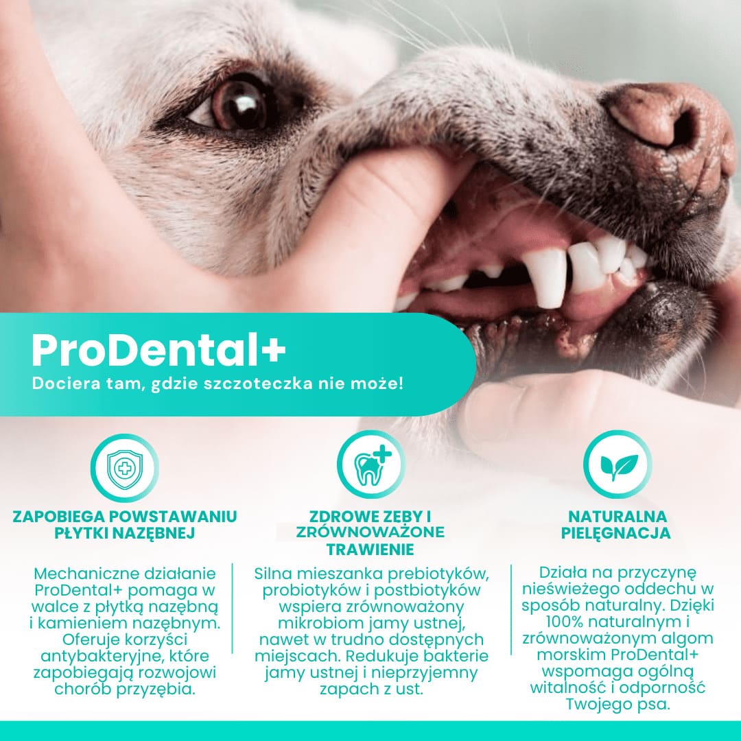 beneficialne-prodental