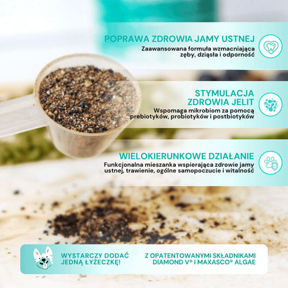 dlaczego-korzystac-z-prodental