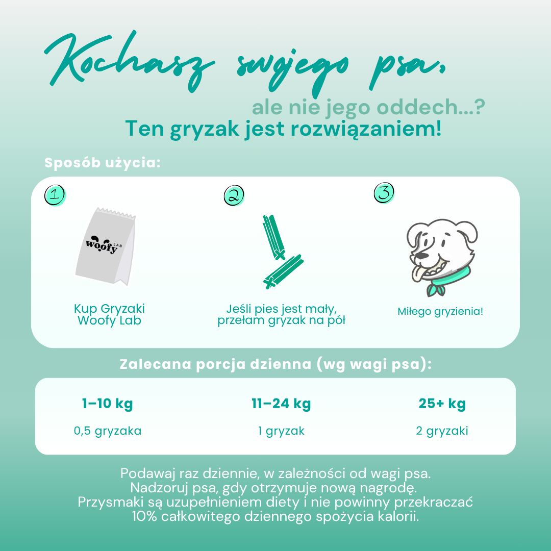 jak-uzywac-woofyLab-patyk-dentystyczny