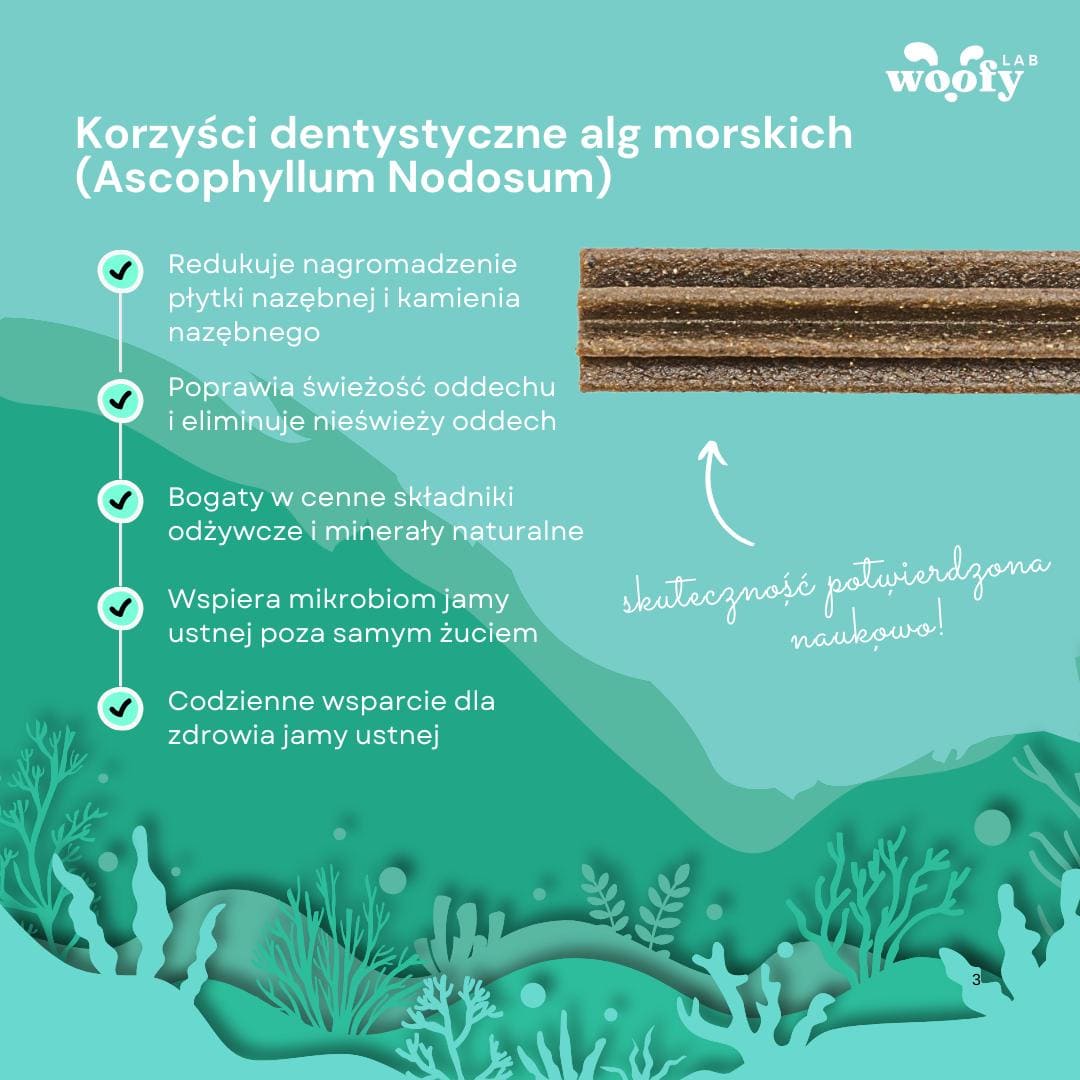 korzysci-algi-patyk-dentystyczny-woofy-lab