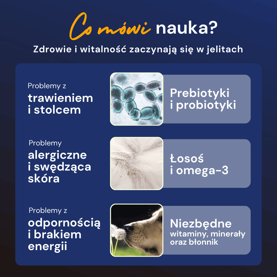 korzysci-przekaski-z-probiotykami-woofy-lab