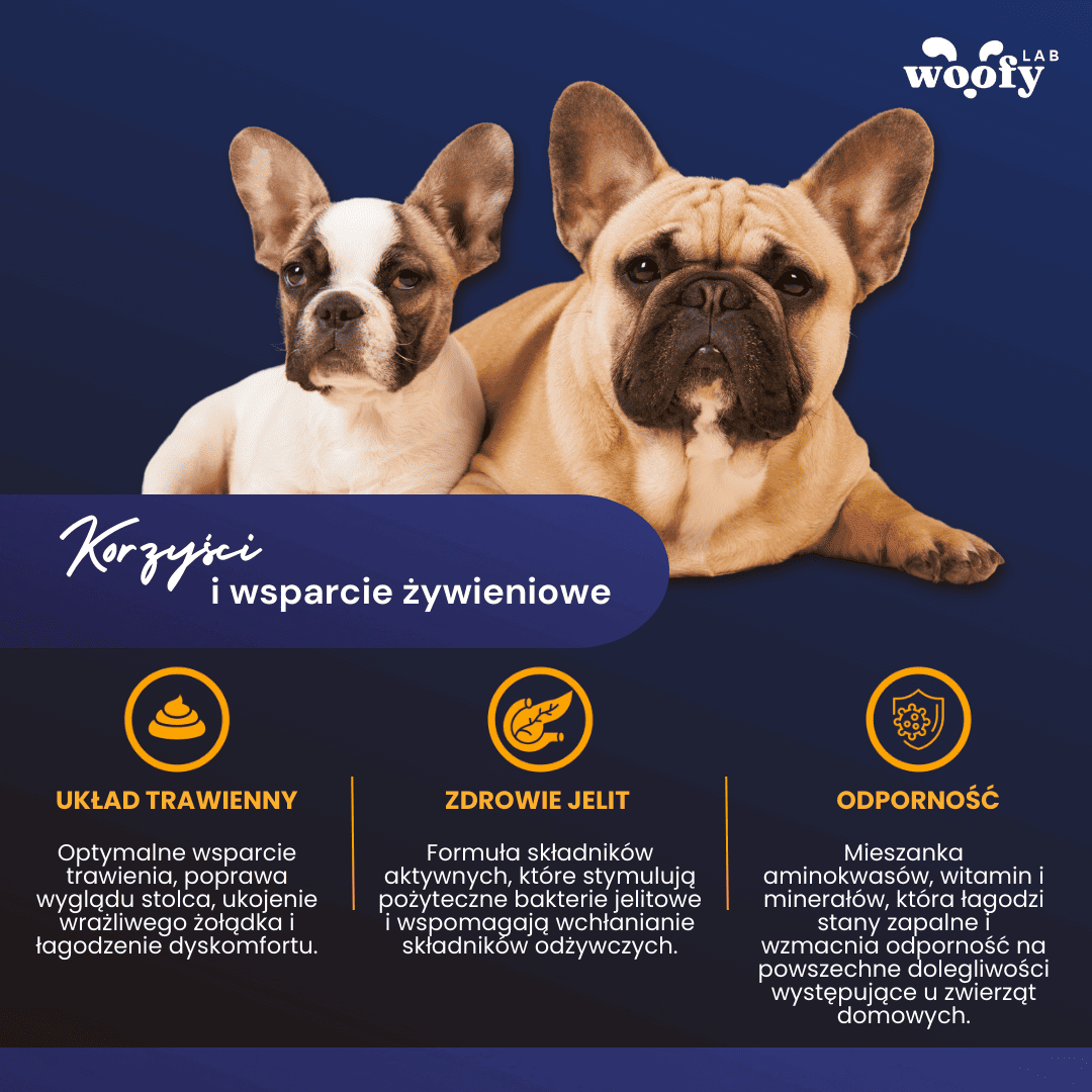korzysci-przekaski-z-probiotykami-woofy-lab