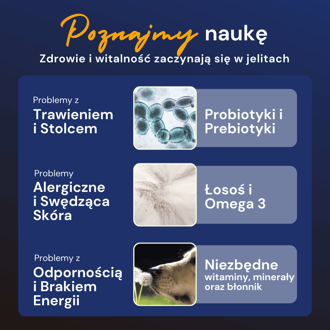 korzysci-przekaski-z-probiotykami-woofylab