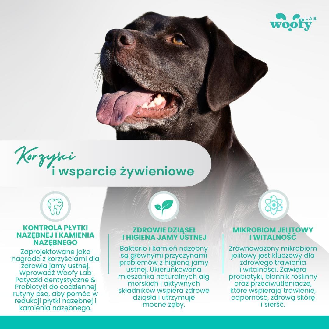korzysci-woofy-Lab-patyk-dentystyczny