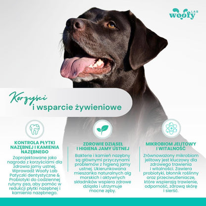 korzysci-woofy-Lab-patyk-dentystyczny