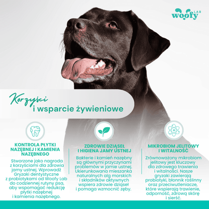 korzysci-woofyLab-patyk-dentystyczny