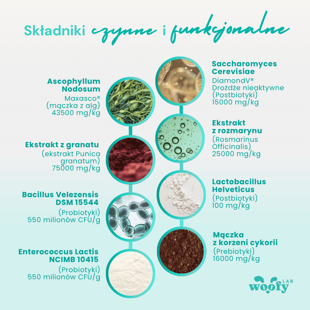 naturalny-skladnik-proszek-do-zebow