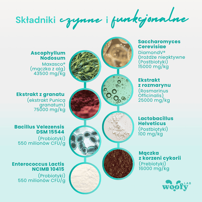 naturalny-skladnik-proszek-do-zebow