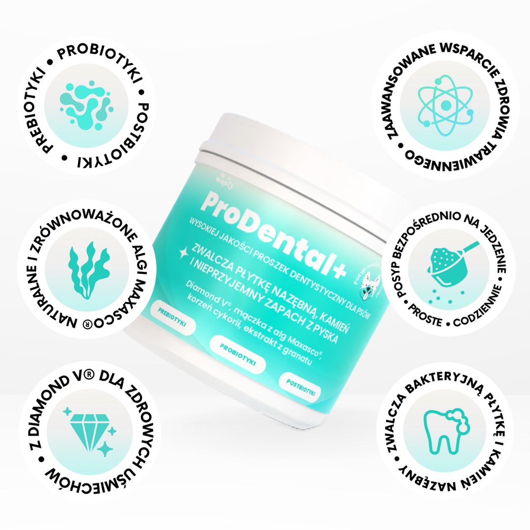 prodental-korzysci-woofylab