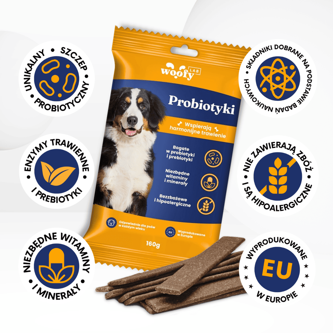 korzysci-przekaski-z-probiotykami-woofylab